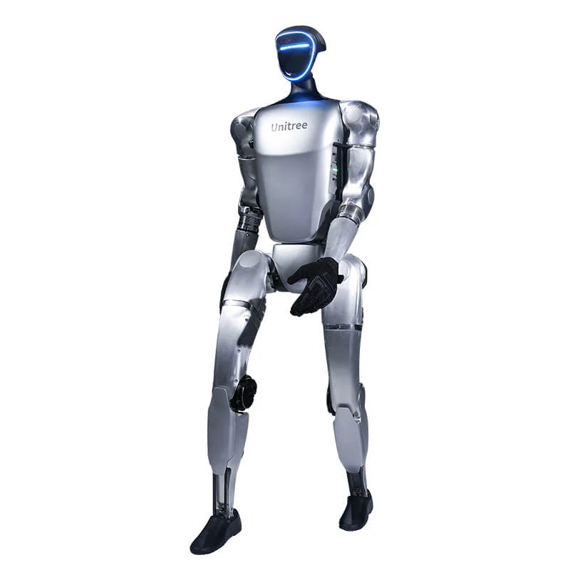 Humanoid Robot