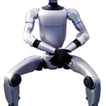Humanoid Robot