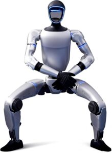 Humanoid Robot